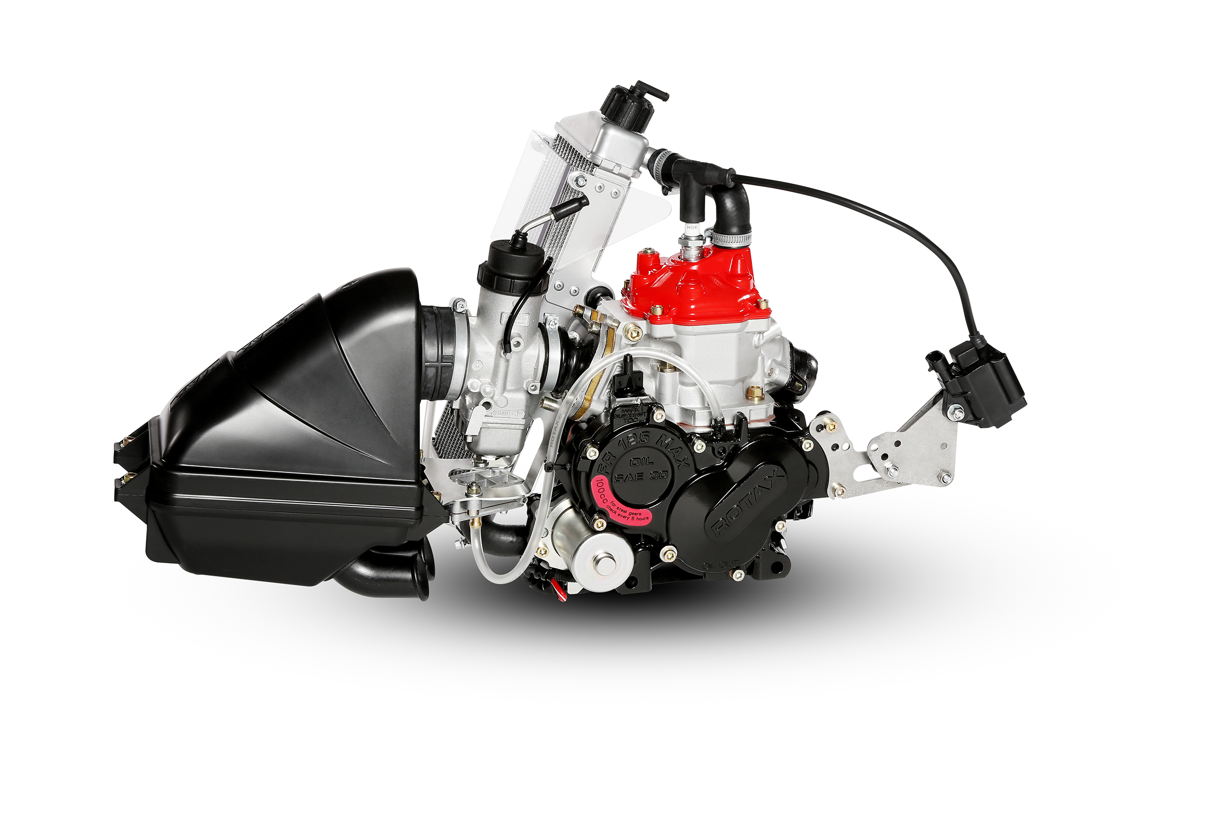 Bild von Motor kompl. Rotax Junior EVO 2024