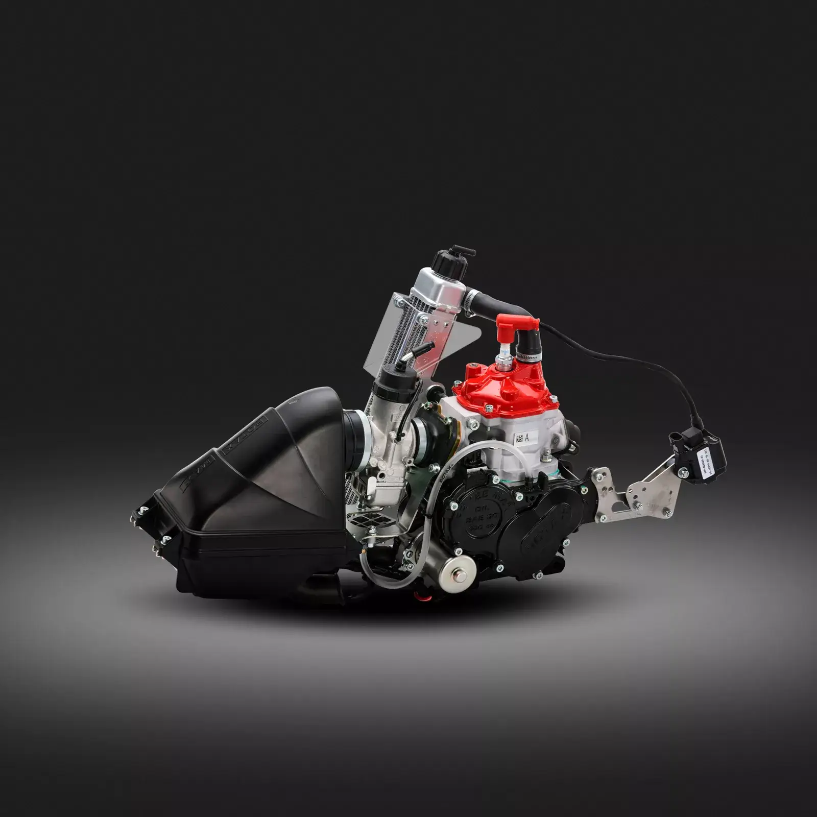 Motor kompl. Rotax Mini Max EVO 2024 Motor kompl. Rotax Mini Max EVO 2024