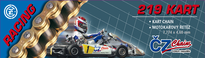 Kette CZ 219 Racing Gold Kette CZ 219 Racing Gold