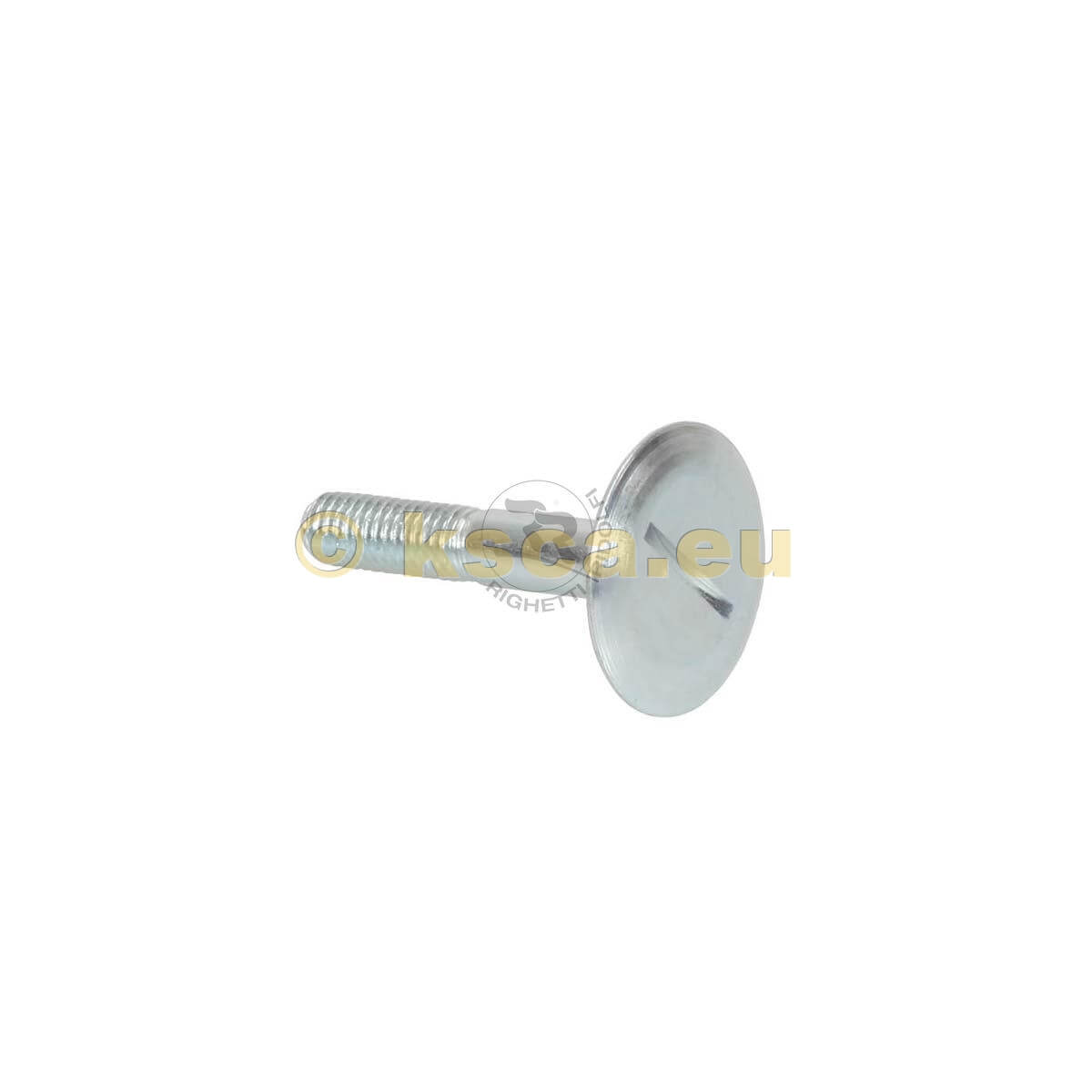 Sitz Einbauschraube FLACH D30 H2mm Sitz Einbauschraube FLACH D30 H2mm