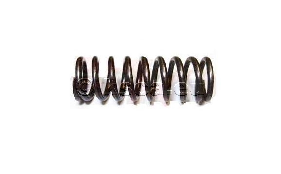 Picture of TM clutch spring