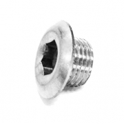 Picture of TM oil fill plug R1