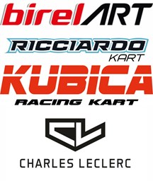 Bild für Kategorie Birel Art - CL - Kubica - Ricciardo Ersatzteile