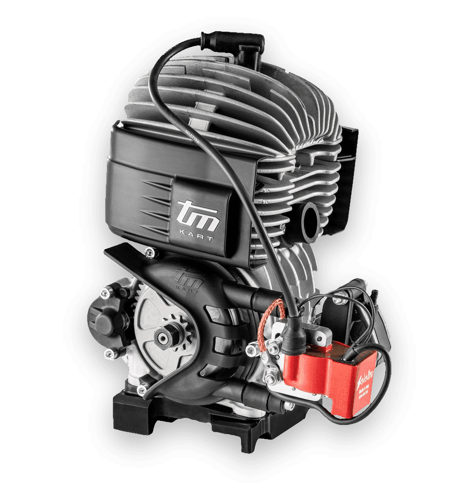 Picture of TM engine Mini 3 3B 60ccm