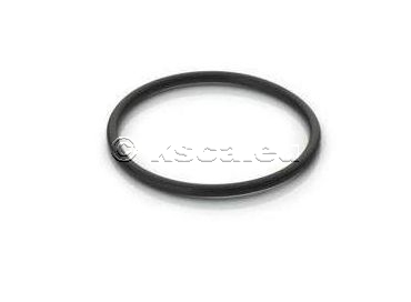 TM O-Ring Ritzelwelle TM O-Ring Ritzelwelle