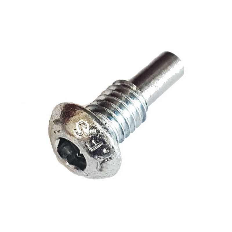 TM Kupplungshebel spezial Schraube M6 R1 TM Kupplungshebel spezial Schraube M6 R1