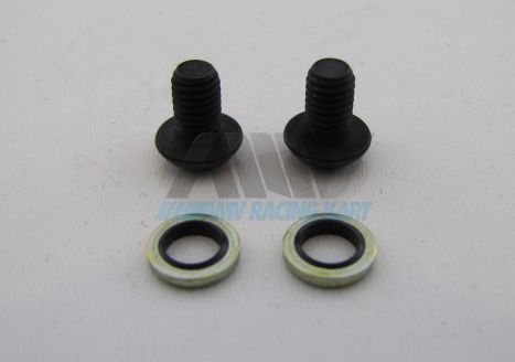 Schraubenset für Bremsentlüftung Set M5x8mm