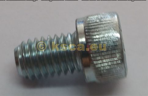 Motor Einstellbügel Schraube M8x12 8.8 Motor Einstellbügel Schraube M8x12 8.8
