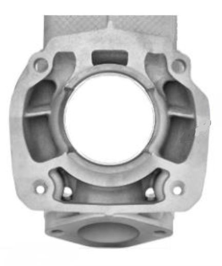 Zylinder Rotax DD2 evo 2024 Zylinder Rotax DD2 evo 2024