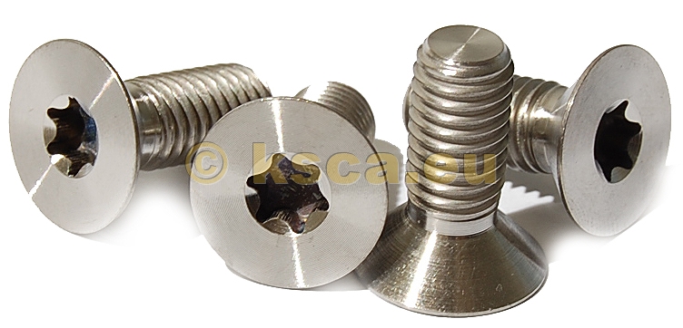 Schraube TORXS CREW D05 L10 Schraube TORXS CREW D05 L10