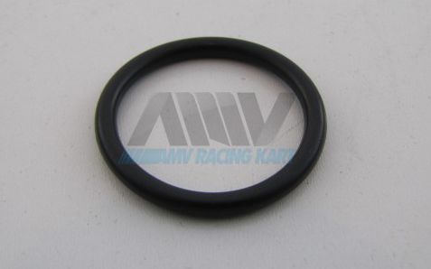 O-Ring für Bremssattel hinten