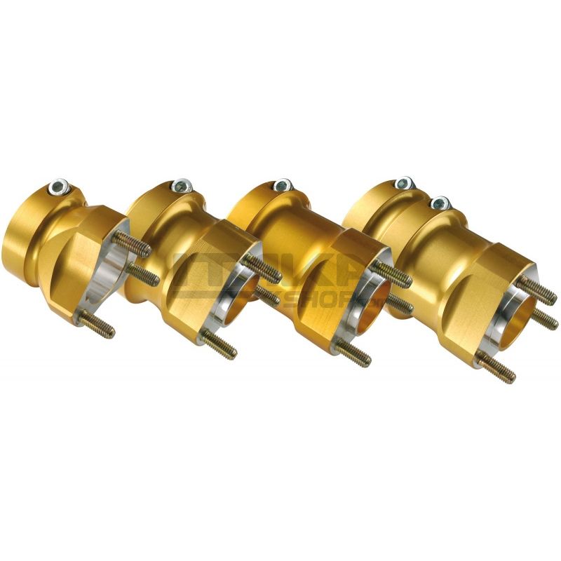 Radstern ALU hinten gold D50