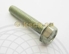 Bundschraube M5x25 Bundschraube M5x25